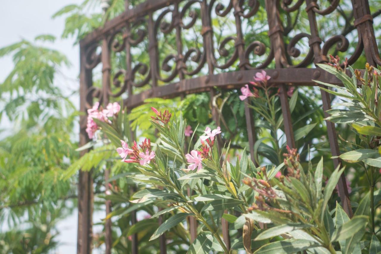 Vinauberge Poilhes Dış mekan fotoğraf